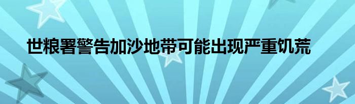 世粮署警告加沙地带可能出现严重饥荒