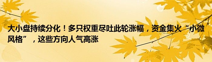 大小盘持续分化！多只权重尽吐此轮涨幅，资金集火“小微风格”，这些方向人气高涨