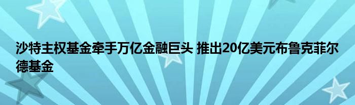 沙特主权基金牵手万亿
巨头 推出20亿美元布鲁克菲尔德基金