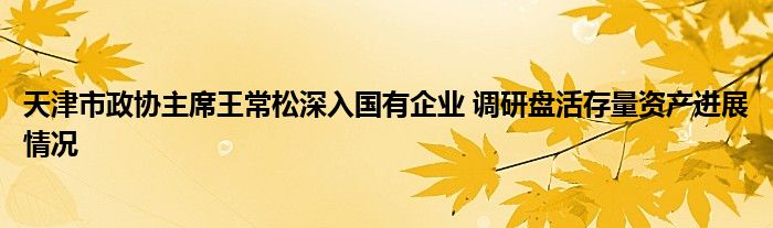 天津市政协主席王常松深入国有企业 调研盘活存量资产进展情况