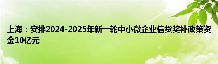 上海：安排2024-2025年新一轮中小微企业信贷奖补政策资金10亿元