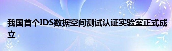 我国首个IDS数据空间测试认证实验室正式成立