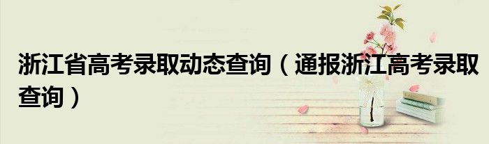 浙江省高考录取动态查询（通报浙江高考录取查询）